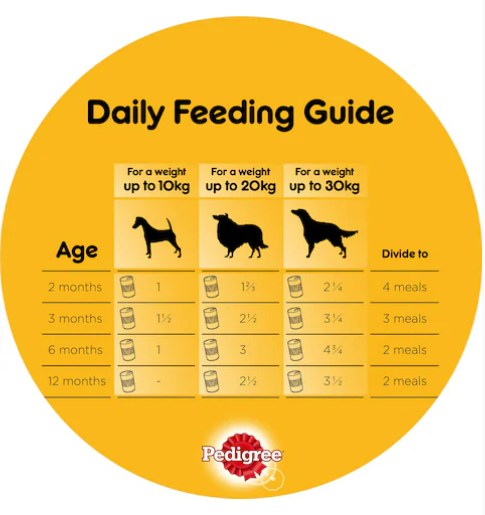 Pedigree Chicken Chunks In Gravy Dog Food 400g