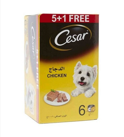 Cesar Chicken Flavoured Dog Food 100g Pack of 6