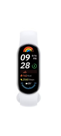 Xiaomi Mi Band 9 (Silver)