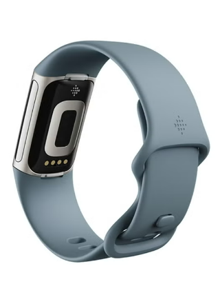 Fitbit Charge 5 (Steel Blue)