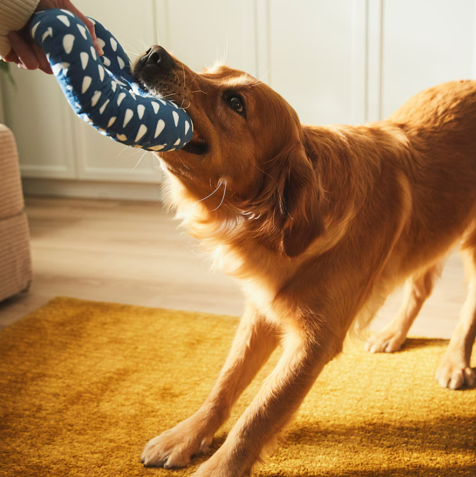 IKEA Soft toy for dog - Blue