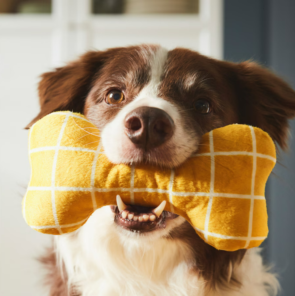 IKEA Soft toy for dog - Yellow