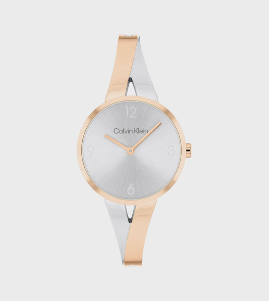 CK Silver Dial Stainless Steel Analog Watch